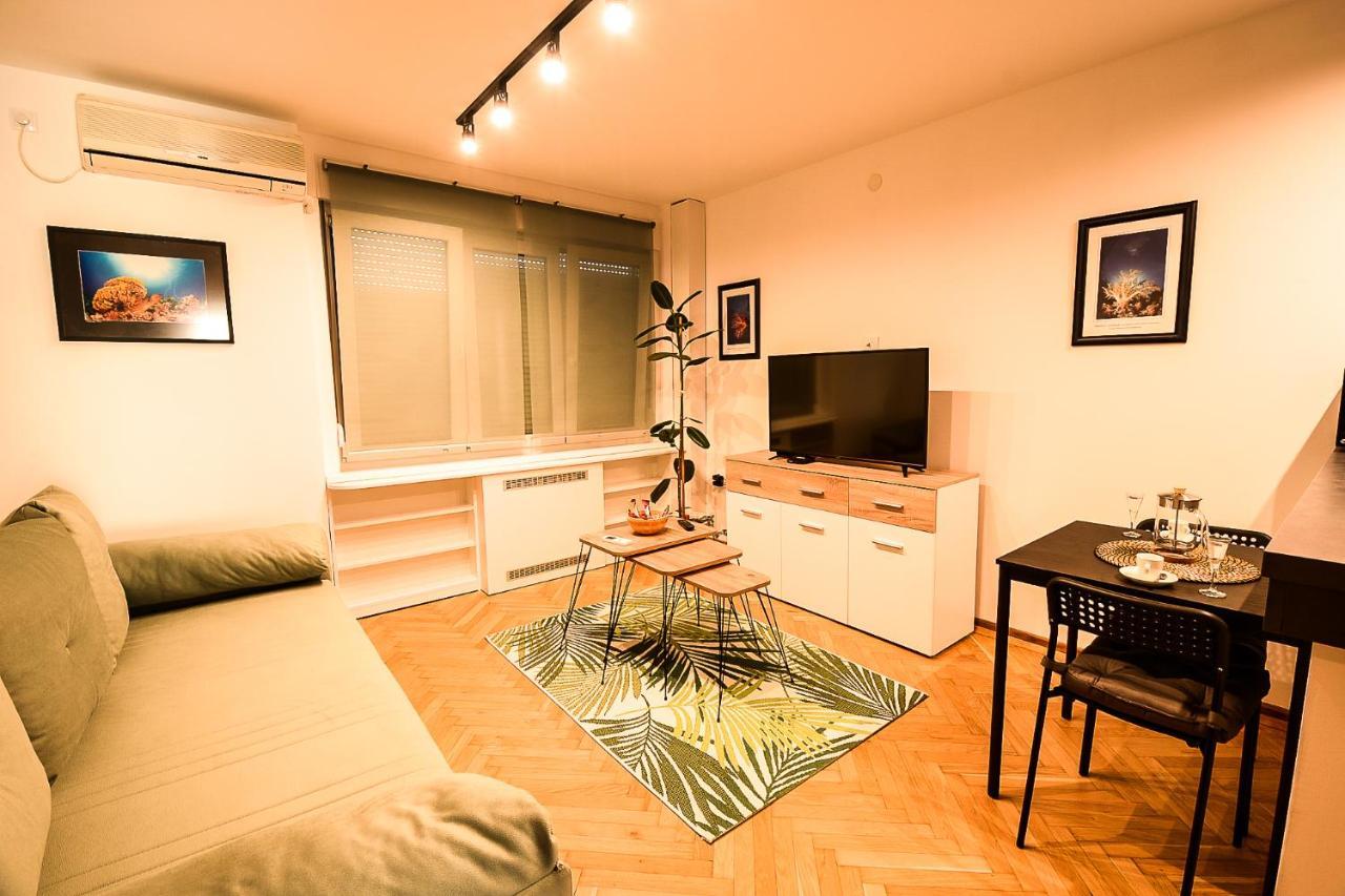 Apartment Petra 073 Belgrado Esterno foto